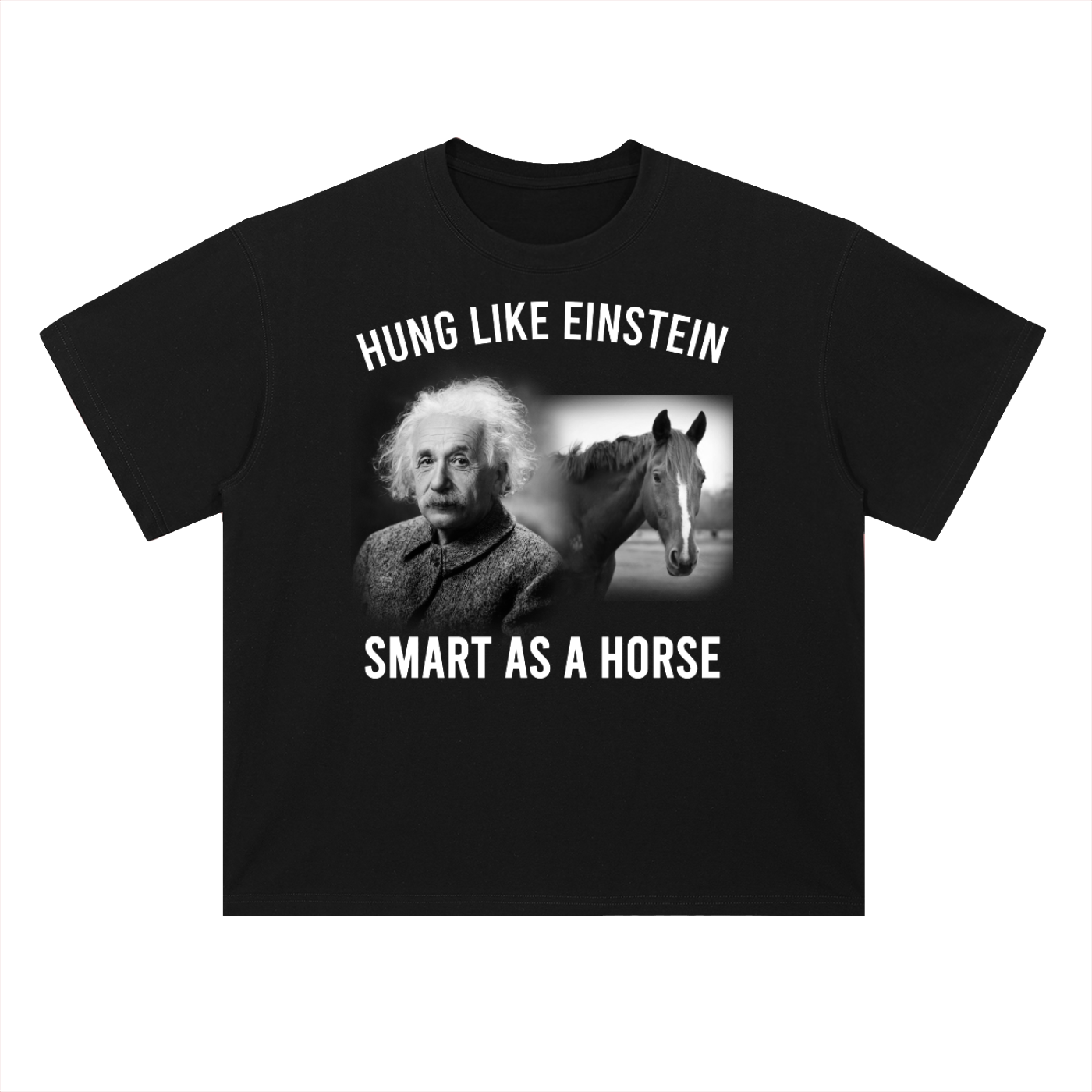 Einstein,Horse